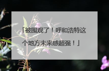 被围观了！呼和浩特这个地方未来感超强！