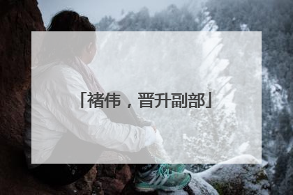 褚伟，晋升副部