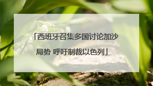 西班牙召集多国讨论加沙局势 呼吁制裁以色列