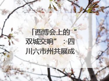 西博会上的“双城交响”：四川六市州共展成渝协同发展画卷｜西博视界