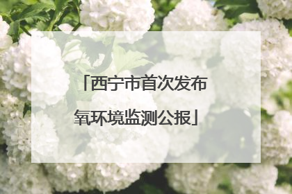 西宁市首次发布氧环境监测公报