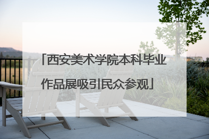 西安美术学院本科毕业作品展吸引民众参观