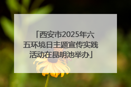 西安市2025年六五环境日主题宣传实践活动在昆明池举办