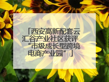 西安高新配套云汇谷产业社区获评“市级成长型跨境电商产业园”