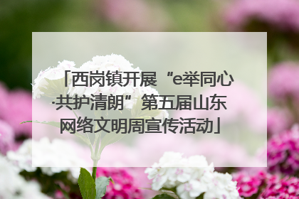 西岗镇开展“e举同心·共护清朗”第五届山东网络文明周宣传活动