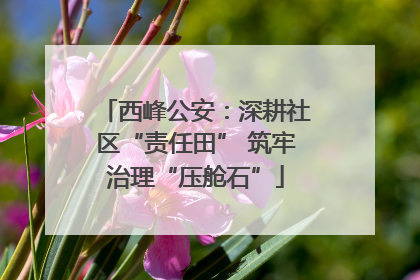 西峰公安：深耕社区“责任田” 筑牢治理“压舱石”