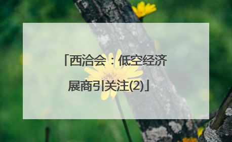 西洽会：低空经济展商引关注(2)