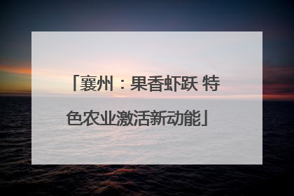 襄州：果香虾跃 特色农业激活新动能