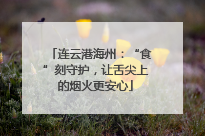 连云港海州：“食”刻守护，让舌尖上的烟火更安心