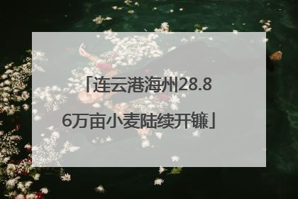连云港海州28.86万亩小麦陆续开镰
