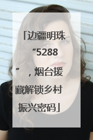 边疆明珠“5288”，烟台援藏解锁乡村振兴密码