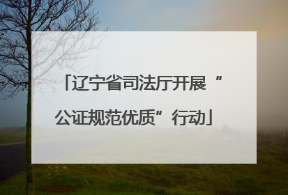 辽宁省司法厅开展“公证规范优质”行动