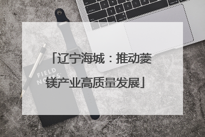 辽宁海城：推动菱镁产业高质量发展