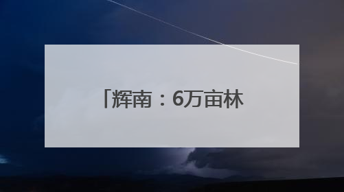 辉南：6万亩林地点“药”成金