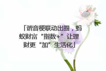 谐音梗联动出圈，蚂蚁财富“指数+”让理财更“加”生活化