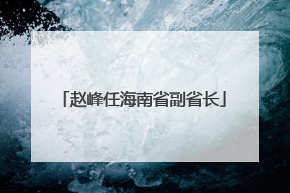 赵峰任海南省副省长
