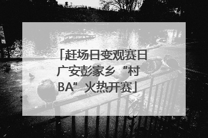 赶场日变观赛日 广安彭家乡“村BA”火热开赛