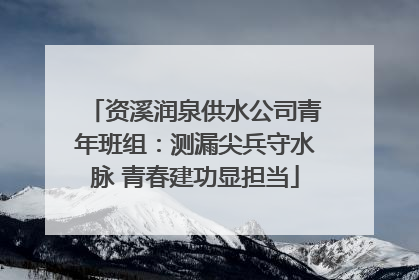 资溪润泉供水公司青年班组：测漏尖兵守水脉 青春建功显担当