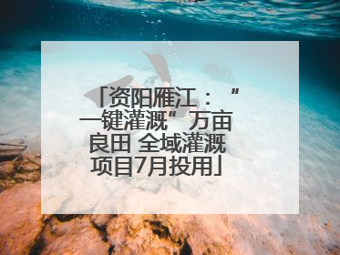 资阳雁江：“一键灌溉”万亩良田 全域灌溉项目7月投用