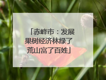 赤峰市：发展果树经济林绿了荒山富了百姓
