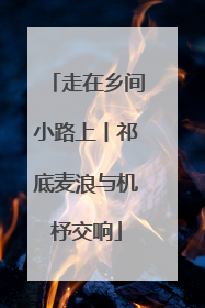 走在乡间小路上丨祁底麦浪与机杼交响