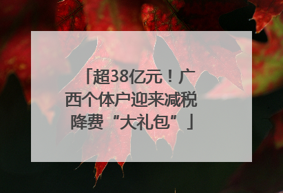 超38亿元！广西个体户迎来减税降费“大礼包”