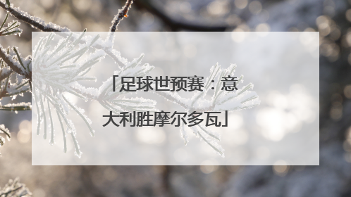 足球世预赛：意大利胜摩尔多瓦
