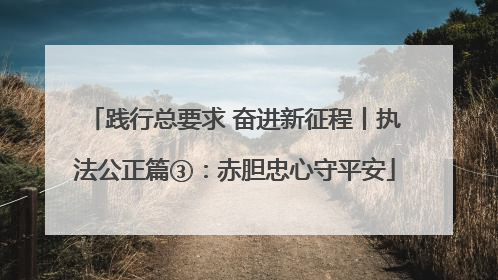 践行总要求 奋进新征程丨执法公正篇③：赤胆忠心守平安