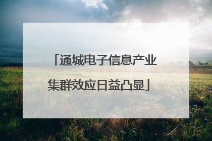 通城电子信息产业集群效应日益凸显