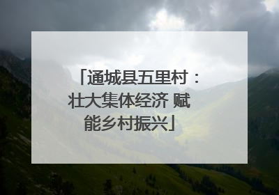 通城县五里村：壮大集体经济 赋能乡村振兴