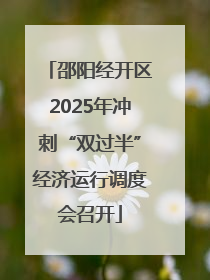 邵阳经开区2025年冲刺“双过半”经济运行调度会召开