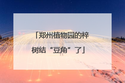 郑州植物园的梓树结“豆角”了