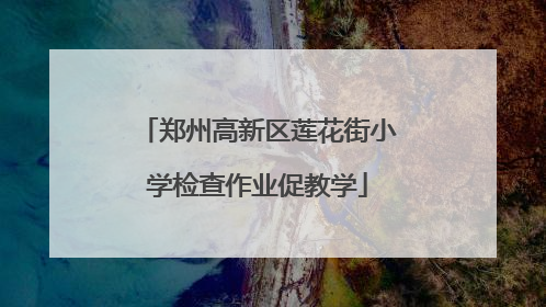 郑州高新区莲花街小学检查作业促教学