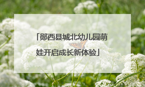 郧西县城北幼儿园萌娃开启成长新体验