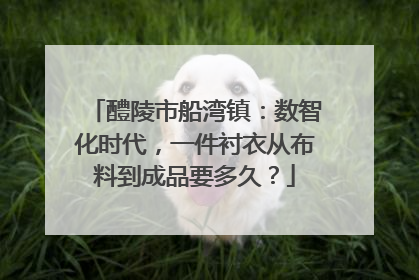 醴陵市船湾镇：数智化时代，一件衬衣从布料到成品要多久？