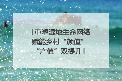 重塑湿地生命网络 赋能乡村“颜值”“产值”双提升