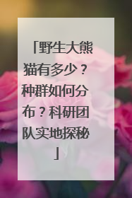 野生大熊猫有多少？种群如何分布？科研团队实地探秘