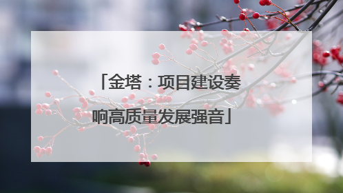 金塔：项目建设奏响高质量发展强音