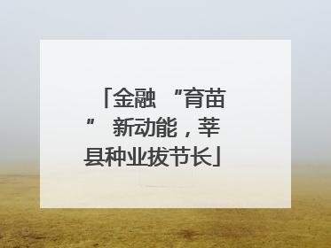 金融 “育苗” 新动能，莘县种业拔节长