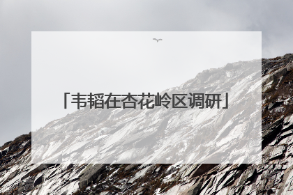 韦韬在杏花岭区调研
