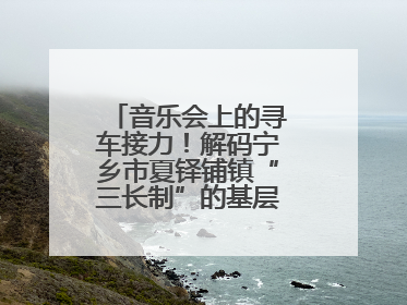 音乐会上的寻车接力！解码宁乡市夏铎铺镇“三长制”的基层治理新实践