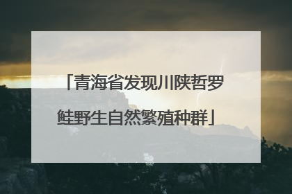 青海省发现川陕哲罗鲑野生自然繁殖种群