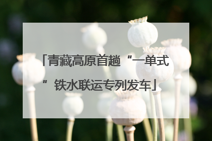 青藏高原首趟“一单式”铁水联运专列发车
