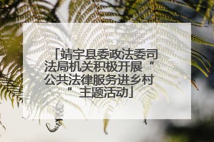 靖宇县委政法委司法局机关积极开展“公共法律服务进乡村”主题活动