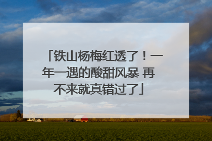 铁山杨梅红透了！一年一遇的酸甜风暴 再不来就真错过了