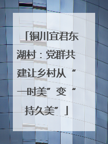 铜川宜君东湖村：党群共建让乡村从“一时美”变“持久美”