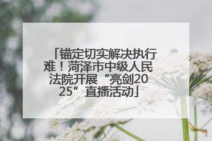 锚定切实解决执行难！菏泽市中级人民法院开展“亮剑2025”直播活动