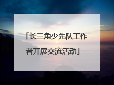 长三角少先队工作者开展交流活动