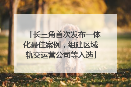 长三角首次发布一体化最佳案例，组建区域轨交运营公司等入选