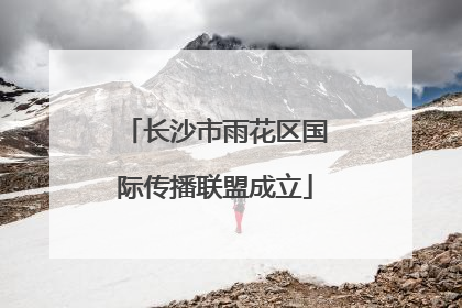 长沙市雨花区国际传播联盟成立